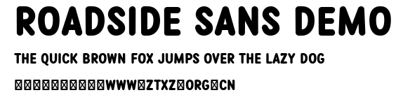 Roadside Sans Demo.ttf
