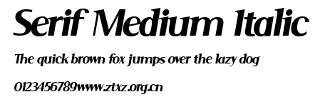 Serif Medium Italic.ttf