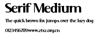 Serif Medium.ttf
