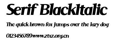 Serif BlackItalic.ttf