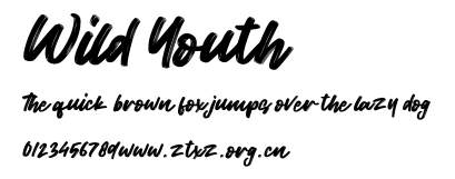 Wild Youth.otf