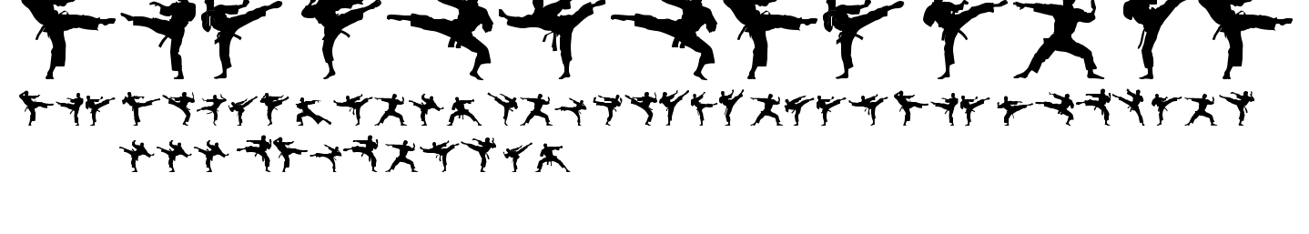 The Karate Do ST.ttf