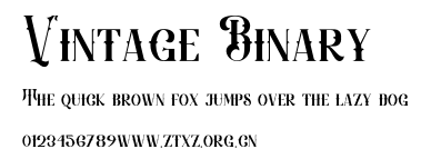 Vintage Binary.otf