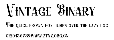 Vintage Binary.ttf