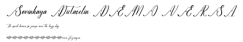 Sovinhaya Dictaselin DEMO VERSI.otf