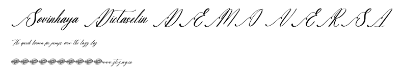 Sovinhaya Dictaselin DEMO VERSI.otf